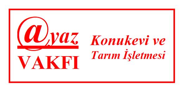 www.ayaz.biz.tr logo